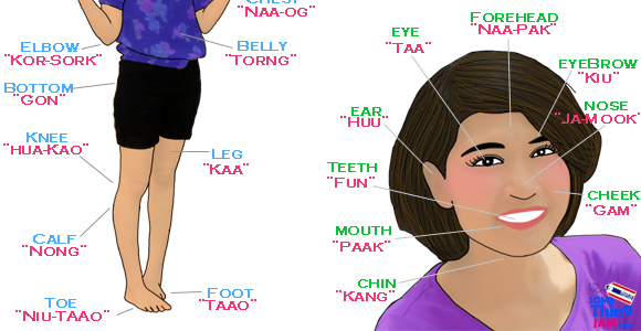 Parts of Body in Thai Language!