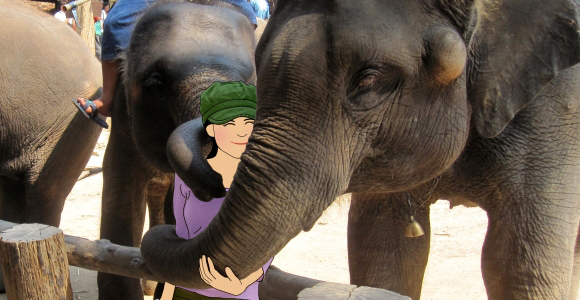 Elephant Camps in Chiang mai (Maesa & Maetaeng)