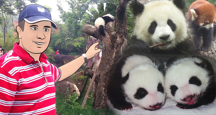 ศูนย์อนุรักษ์หมีแพนด้า เมืองเฉินตู