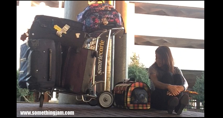 Flying with a (small) dog from Bangkok to USA by Delta Airline