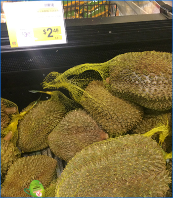 asianmarket_fishsuacer_02