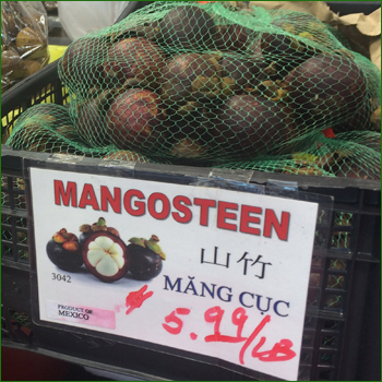 asianmarket_fishsuacev_08