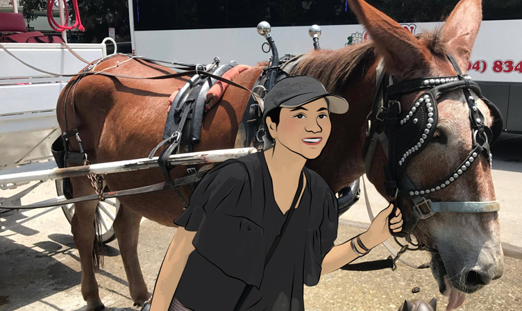 Horse & Buggy ride and St. Louis Cemetery #1 in New Orleans