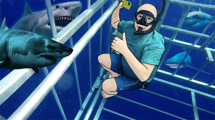 Shark Cage in O’ahu, Hawaii