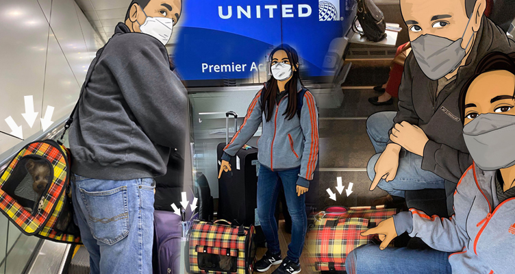 Traveling with our dog from South Korea to the USA as an in-cabin pet!