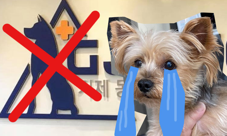 Geoje Animal Hospital