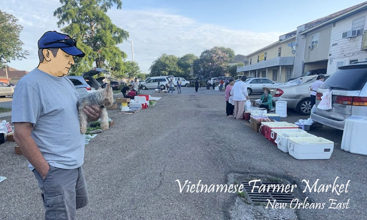 Vietnamese Farmer Market (New Orleans East), Louisiana