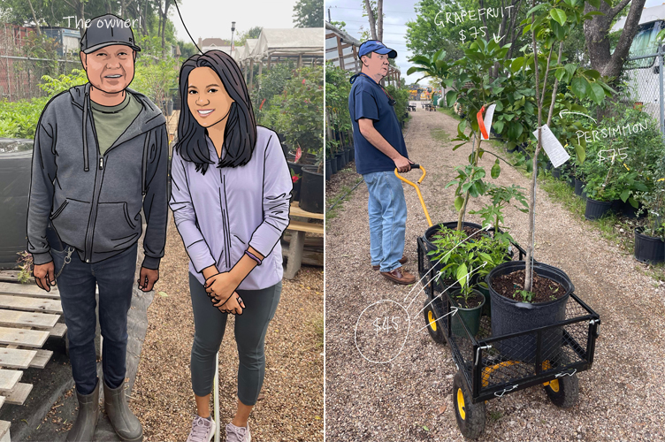 Thai/Asian/Tropical Plant Nurseries Nearby Houston (Texas, USA)