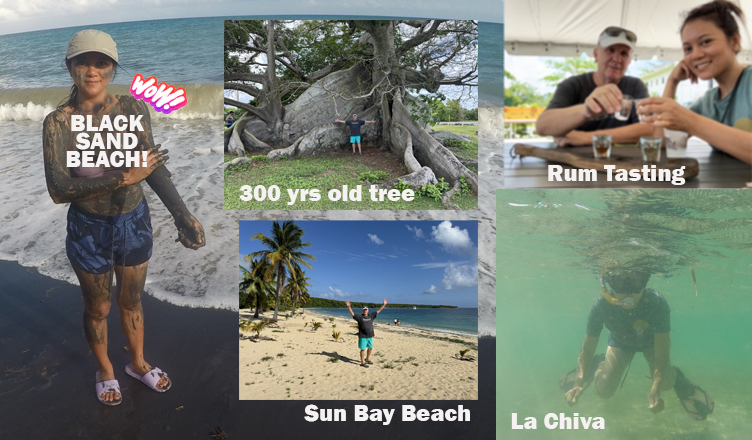 FULL DAY TOUR IN VIEQUES ISLAND